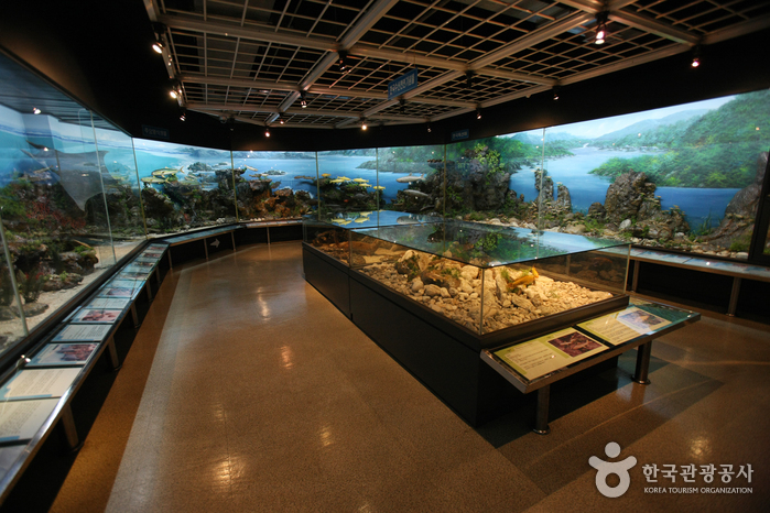釜山海洋自然史博物館（부산해양자연사박물관）