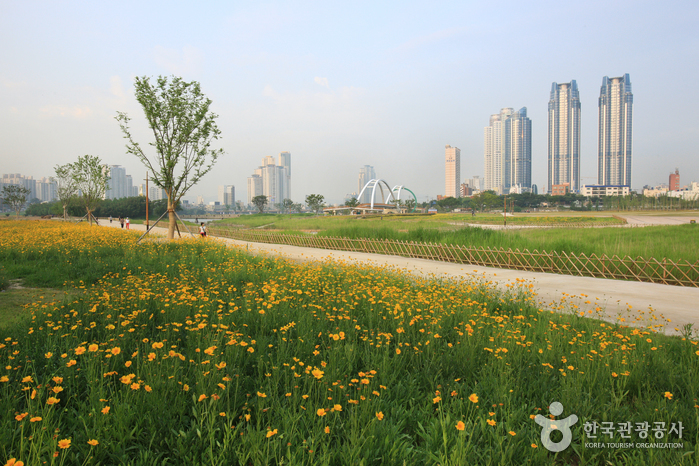Taehwagang Grand Park (태화강 대공원)