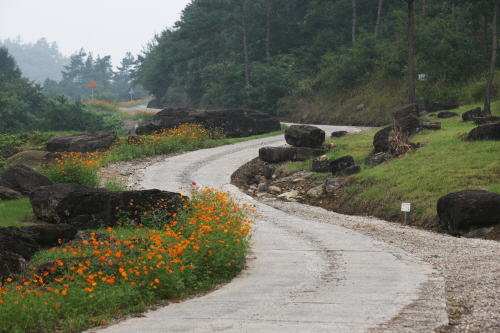 Hwasun Dolmen Site [UNESCO World Heritage] (화순 고인돌군 유적)