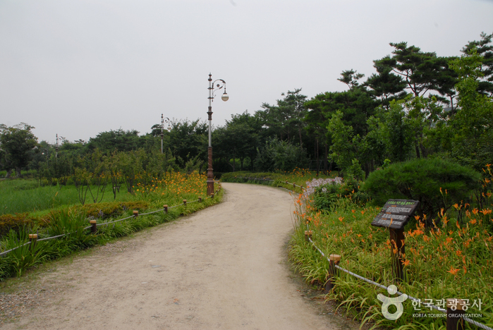 Hanbat Arboretum (한밭수목원)2