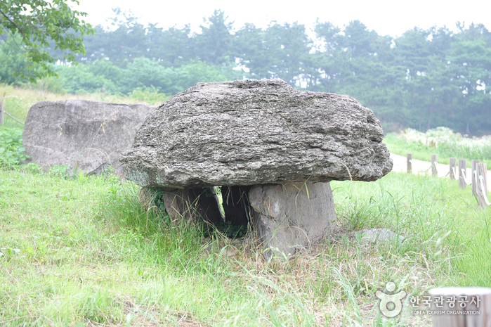 Gochang Dolmen Site [UNESCO World Heritage] (고창 고인돌 유적 [유네스코 세계문화유산])