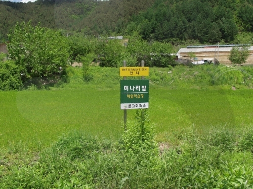 화천 토고미마을7