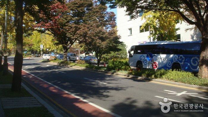 The Street in front of Cheongwadae (The Blue House) (청와대 앞길)