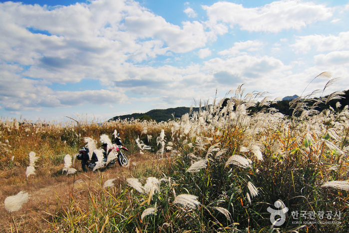 비내길(비내섬)3