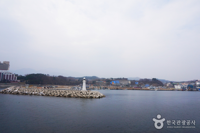 대포항 사진3