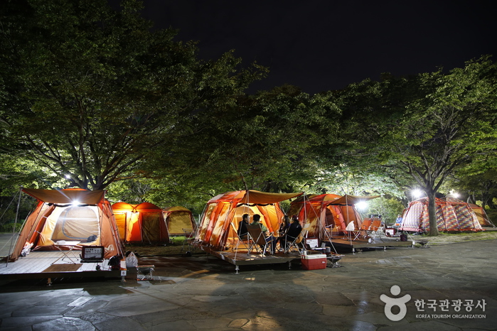 Jungmun Jinsil Campground