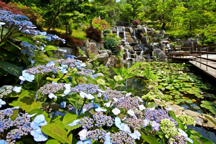 Hwadam Botanic Garden (화담숲)