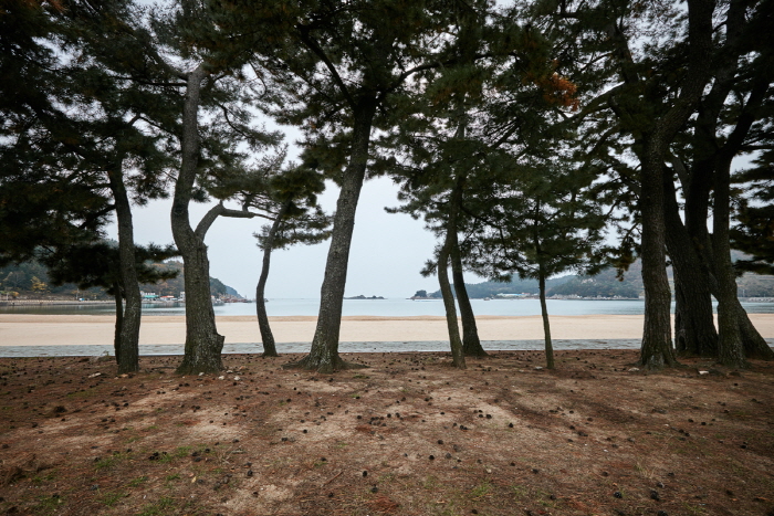 Playa Sangju Eunmorae (상주은모래비치)3 Miniatura