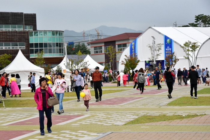 Korean Medicine Bio Fair in Jecheon (제천한방바이오박람회)