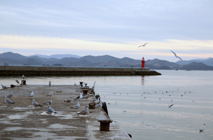삼천포항 사진4