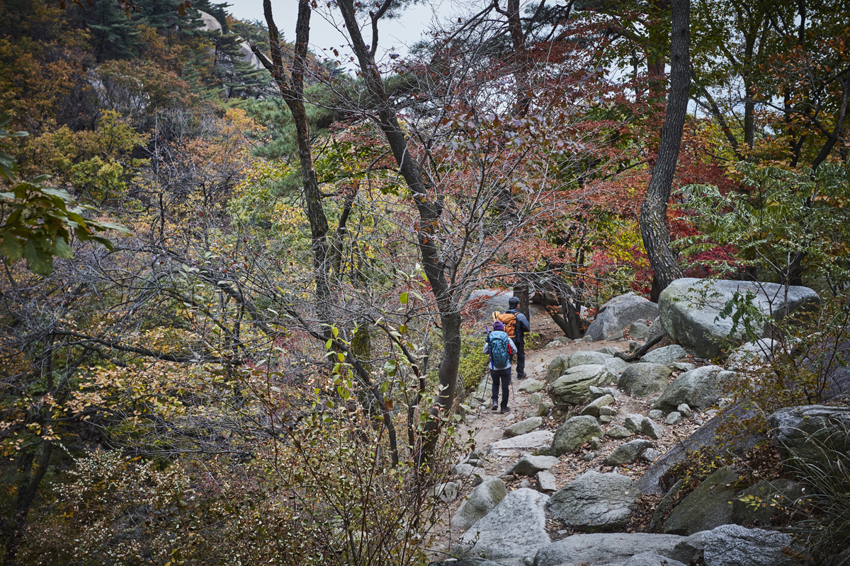 Parque Nacional del Monte Bukhansan en Seúl (북한산국립공원(서울))