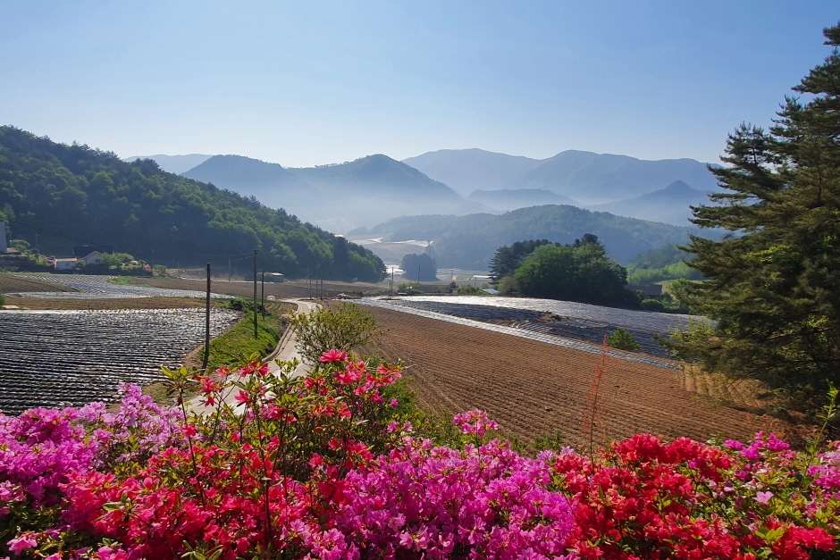 오대산힐링빌리지(별마루)