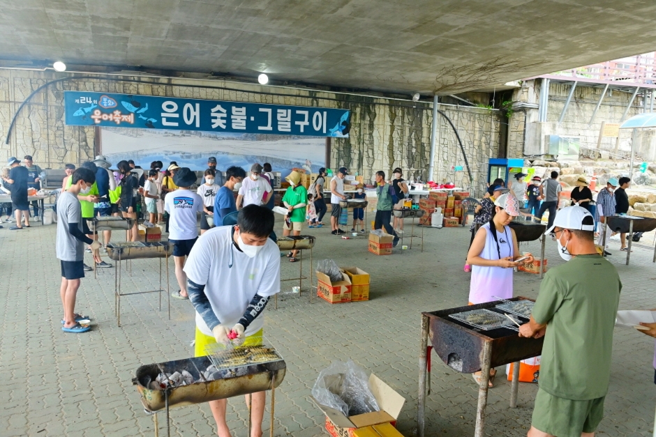 Bonghwa Euneo Festival (봉화은어축제)