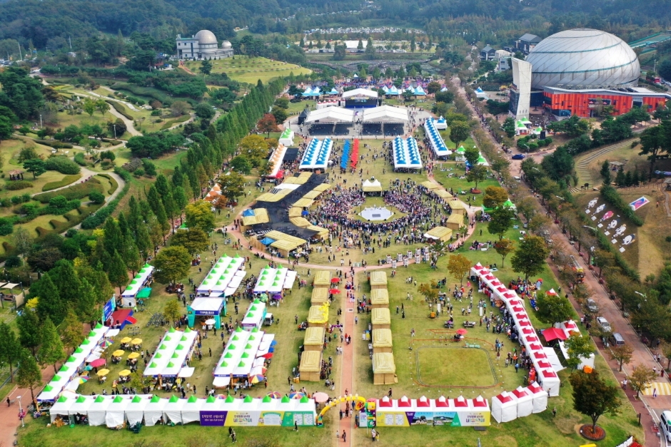 Anseong Namsadang Baudeogi Festival (안성맞춤 남사당 바우덕이 축제)