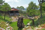 용봉산자연휴양림 (6)