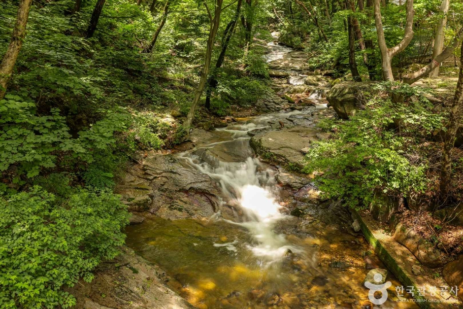 팔공산자연공원(파계사지구) (3)