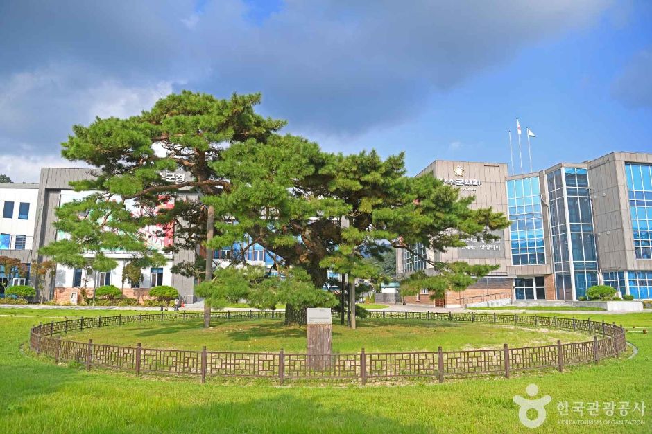장수 장수리 의암송
