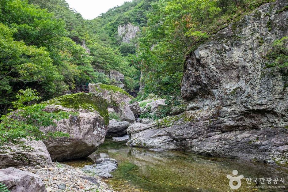 절골협곡 (청송 국가지질공원)