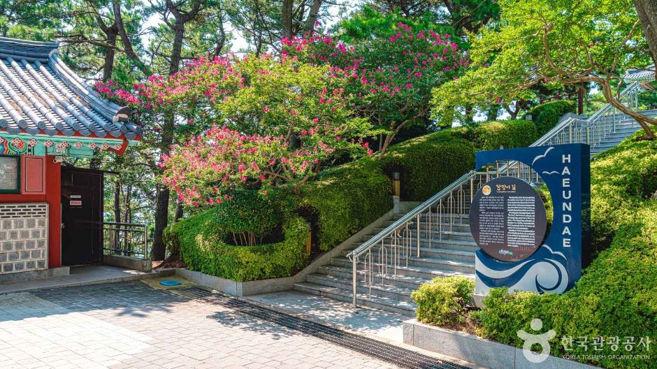 해운대 달맞이길