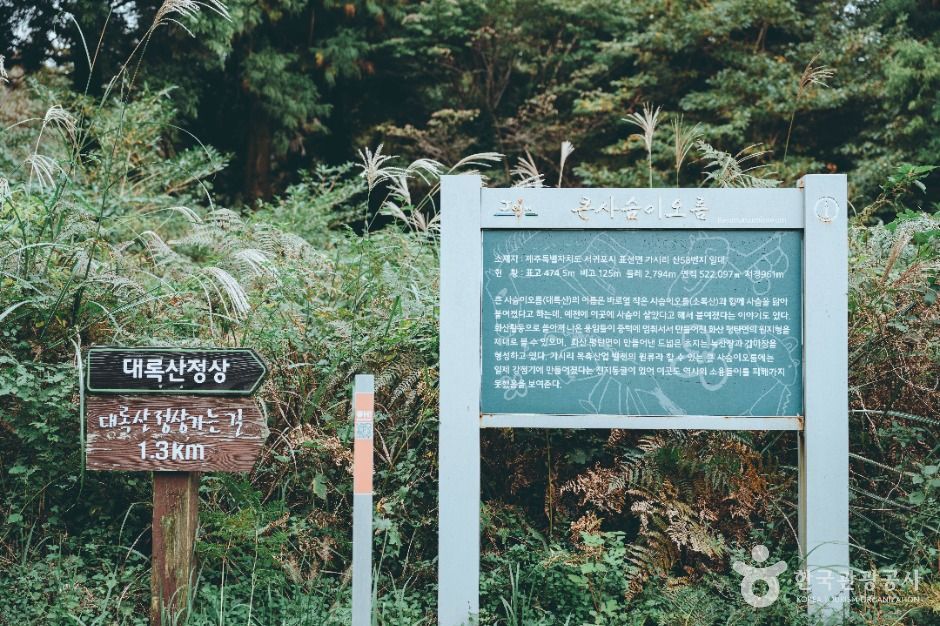 큰사슴이오름
