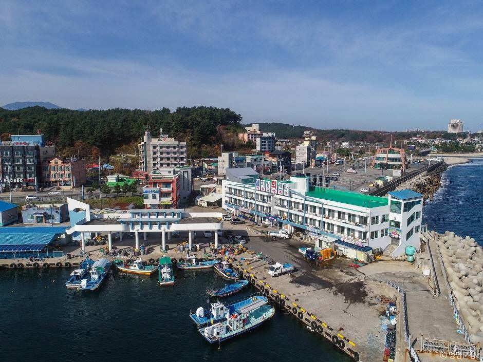 물치항활어회센터
