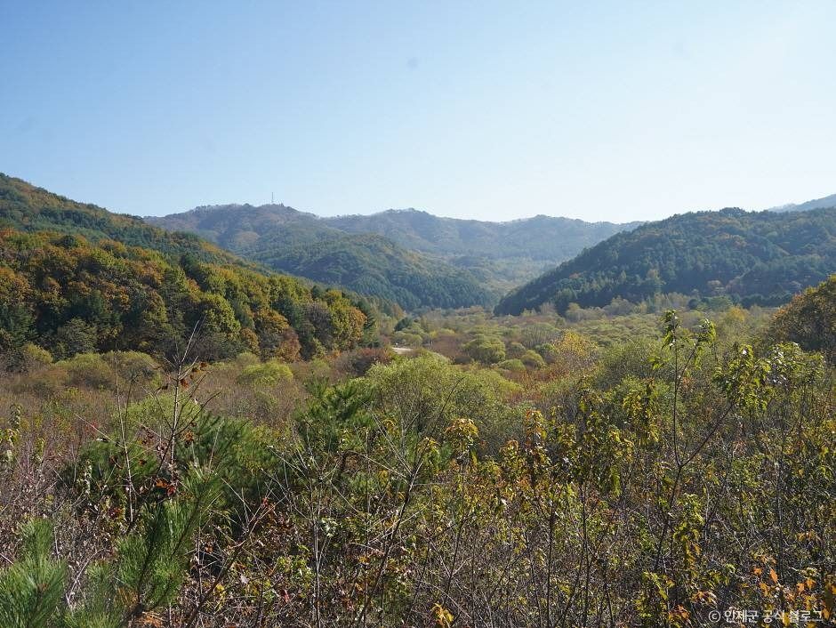 비밀의정원