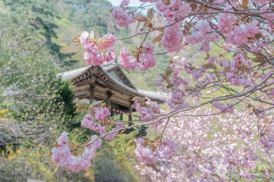 설악산국립공원(남설악)