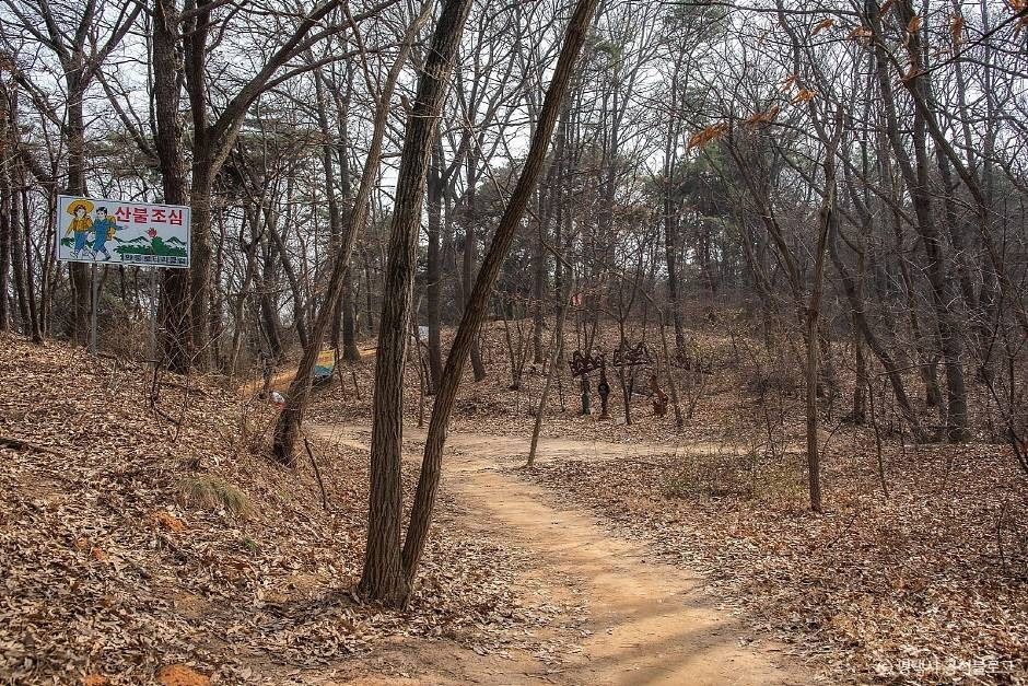 마안산