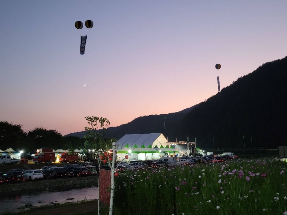 2025 횡성더덕축제 5
