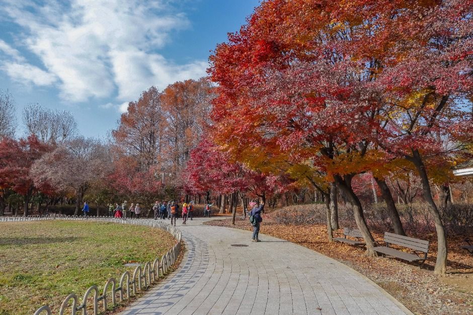 [서울둘레길 9코스] 대모·구룡산코스