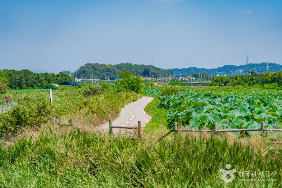 시흥 그린웨이