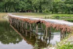 영월 섶다리 마을