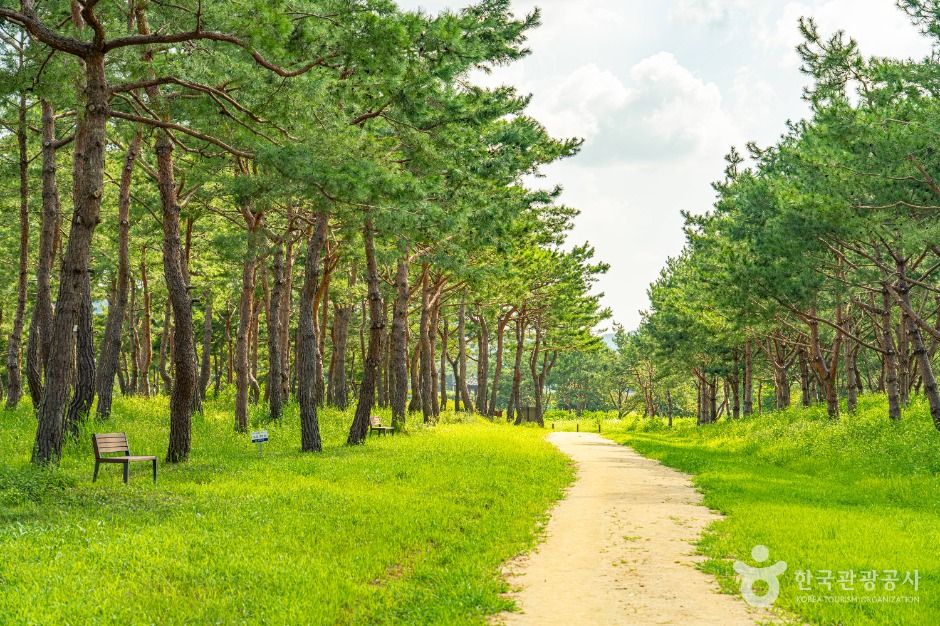 공주 고마나루