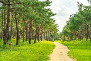 공주_고마나루 (2)