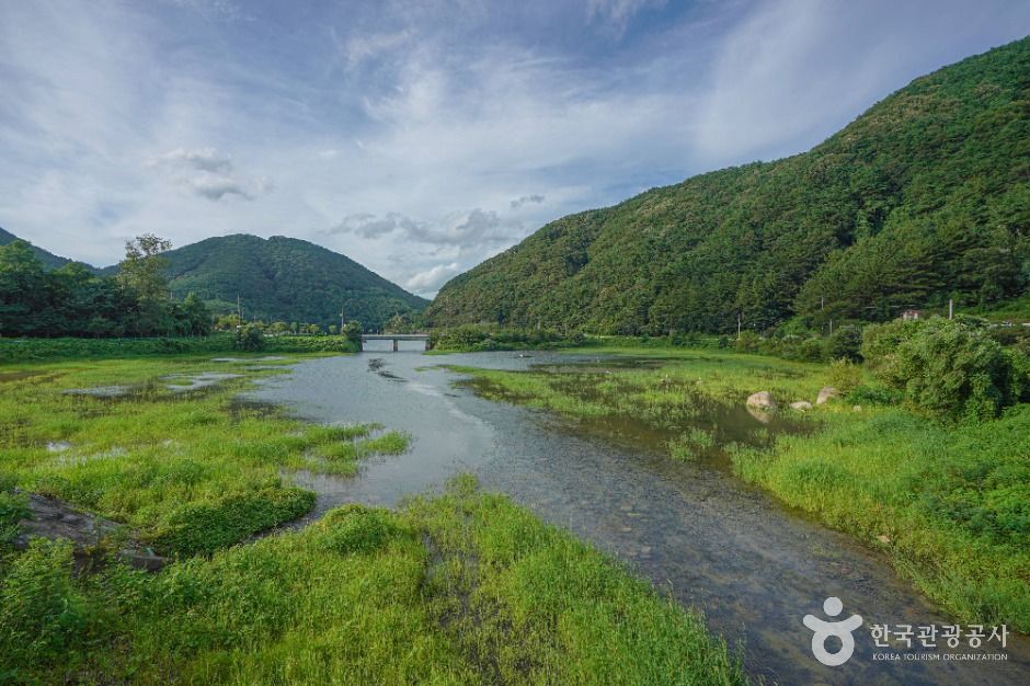 함안_봉성저수지 (2)