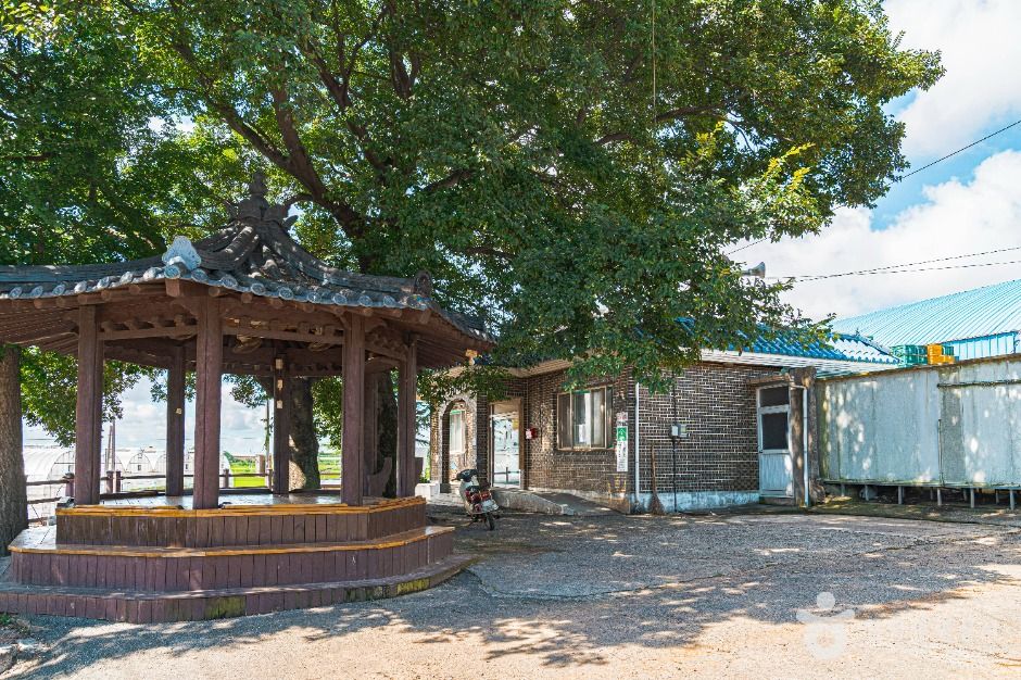 무안 감풀마을 [농촌전통테마]