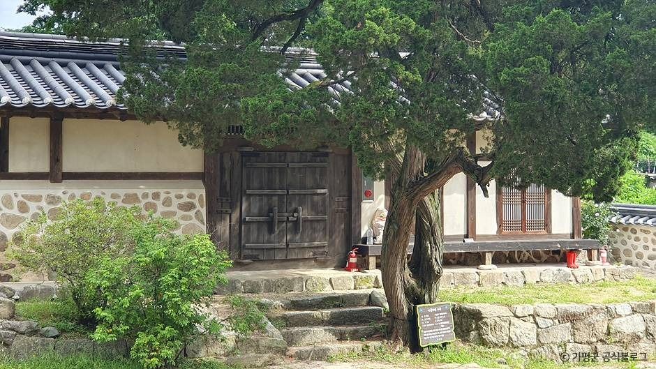 thumbnail-가평 연하리향나무-2