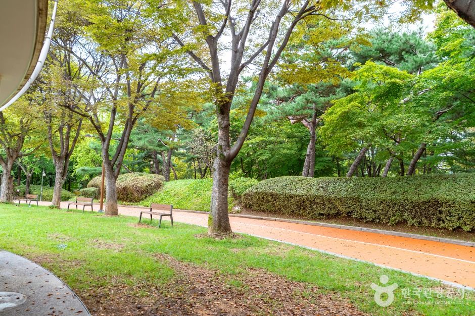 thumbnail-신트리공원(서울)-6