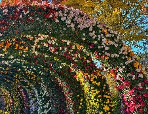 피나클랜드수목원4