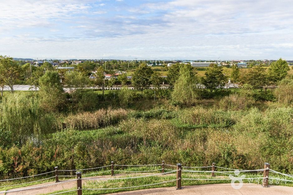 익산_유천생태습지공원 (3)