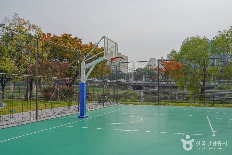 살곶이체육공원