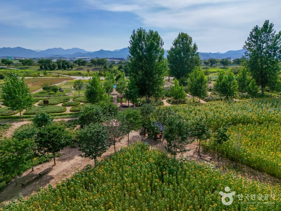 thumbnail-대산플라워랜드-4