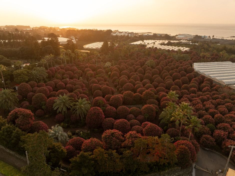 제주동백수목원