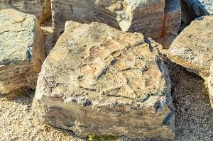 화순_서유리 공룡화석지(무등산권 국가지질공원) (2)