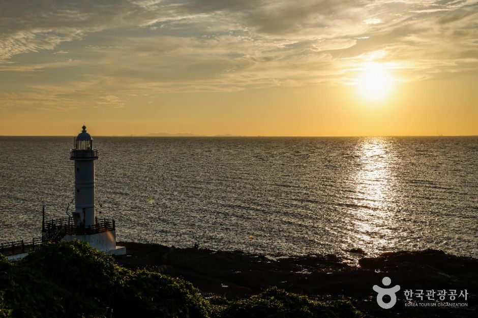 영광_백수해안도로 (2)