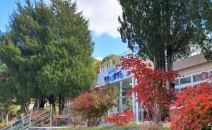 유곡리평화마을캠핑장