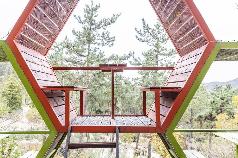 해남_포레스트 수목원 (11)