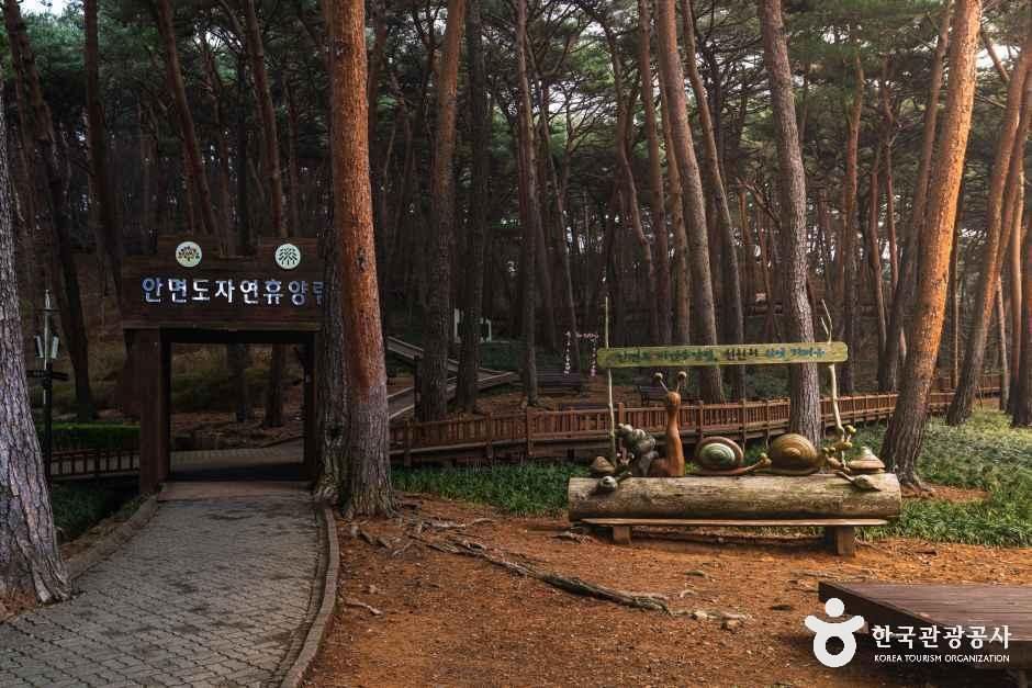 안면도자연휴양림