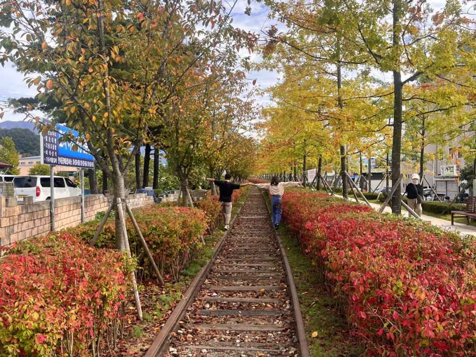 thumbnail-치악산 바람길숲-11