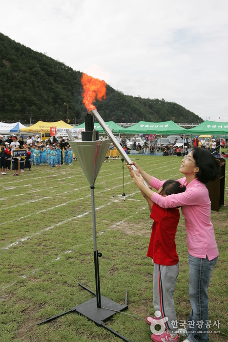 봉화송이축제 2018 사진2